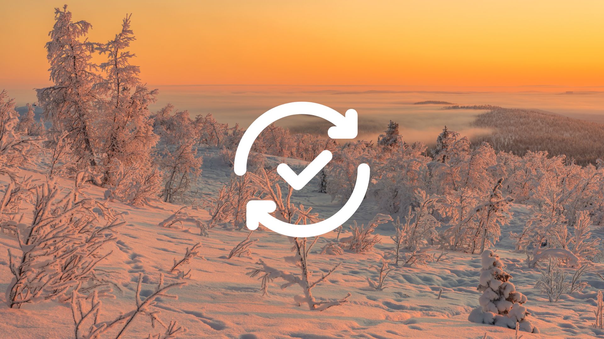 November 21, 2025 — Release Notes