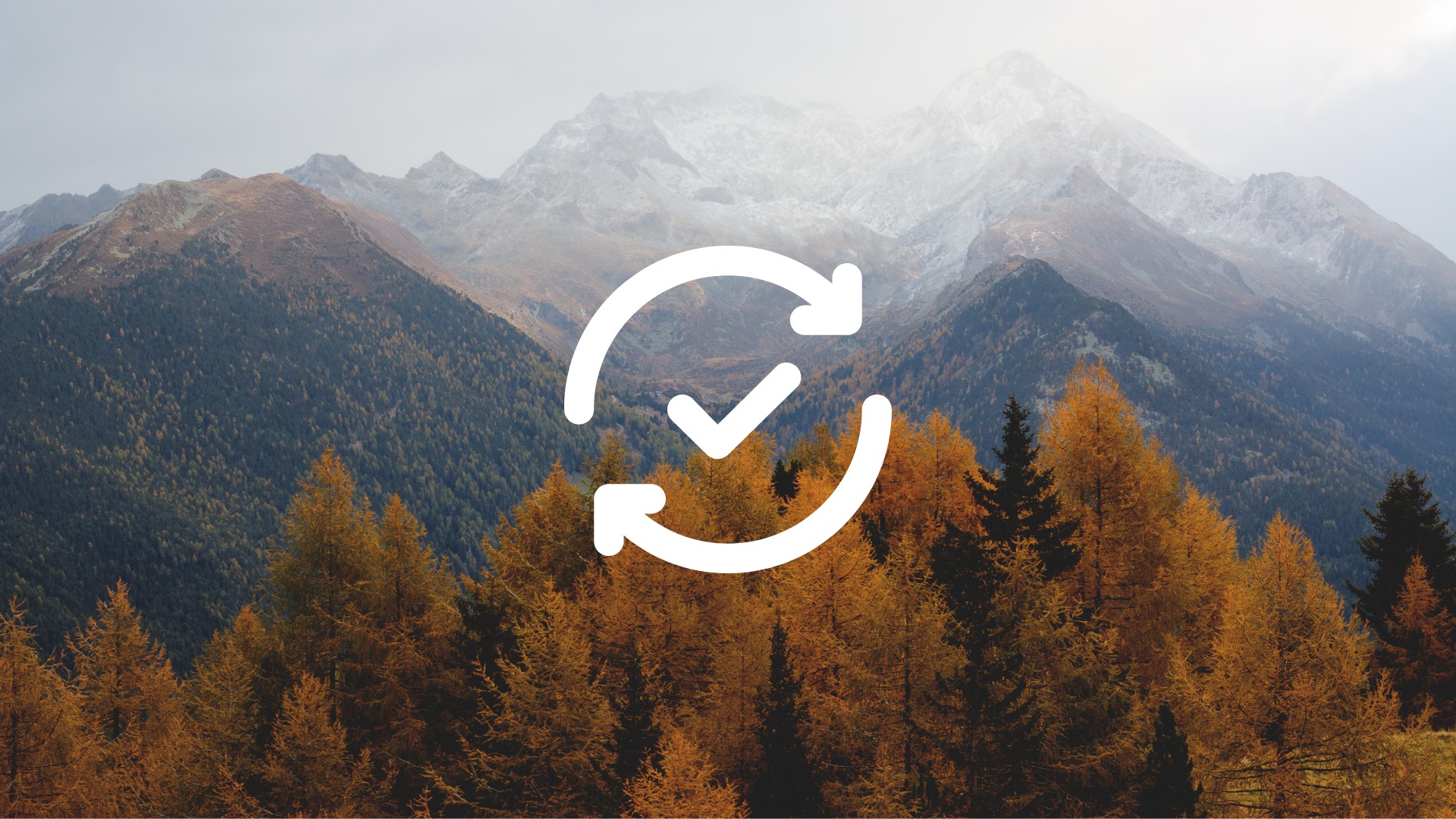 November 5, 2025 Product Update