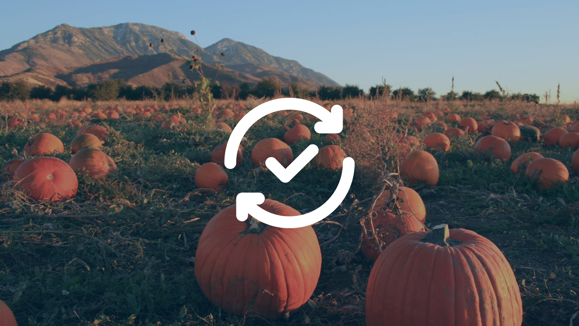 October 23, 2026 — Release Notes